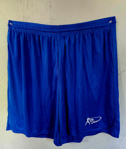 Small Swoop Blue Shorts