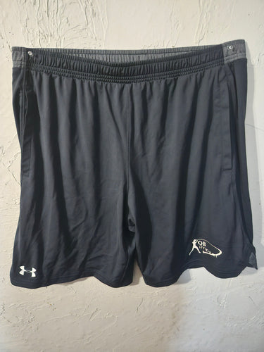 Small Swoop Gray Shorts UA
