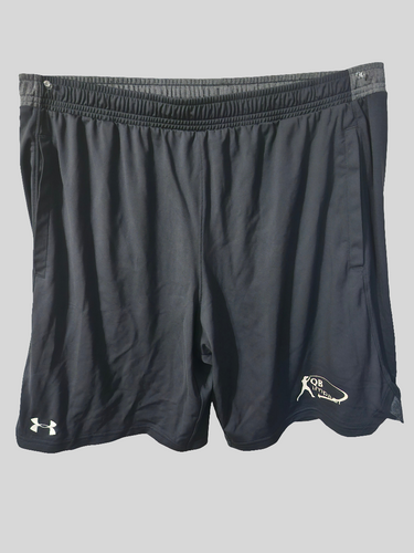 Small Swoop Gray Shorts UA