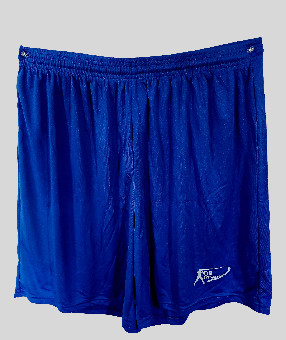 Small Swoop Blue Shorts